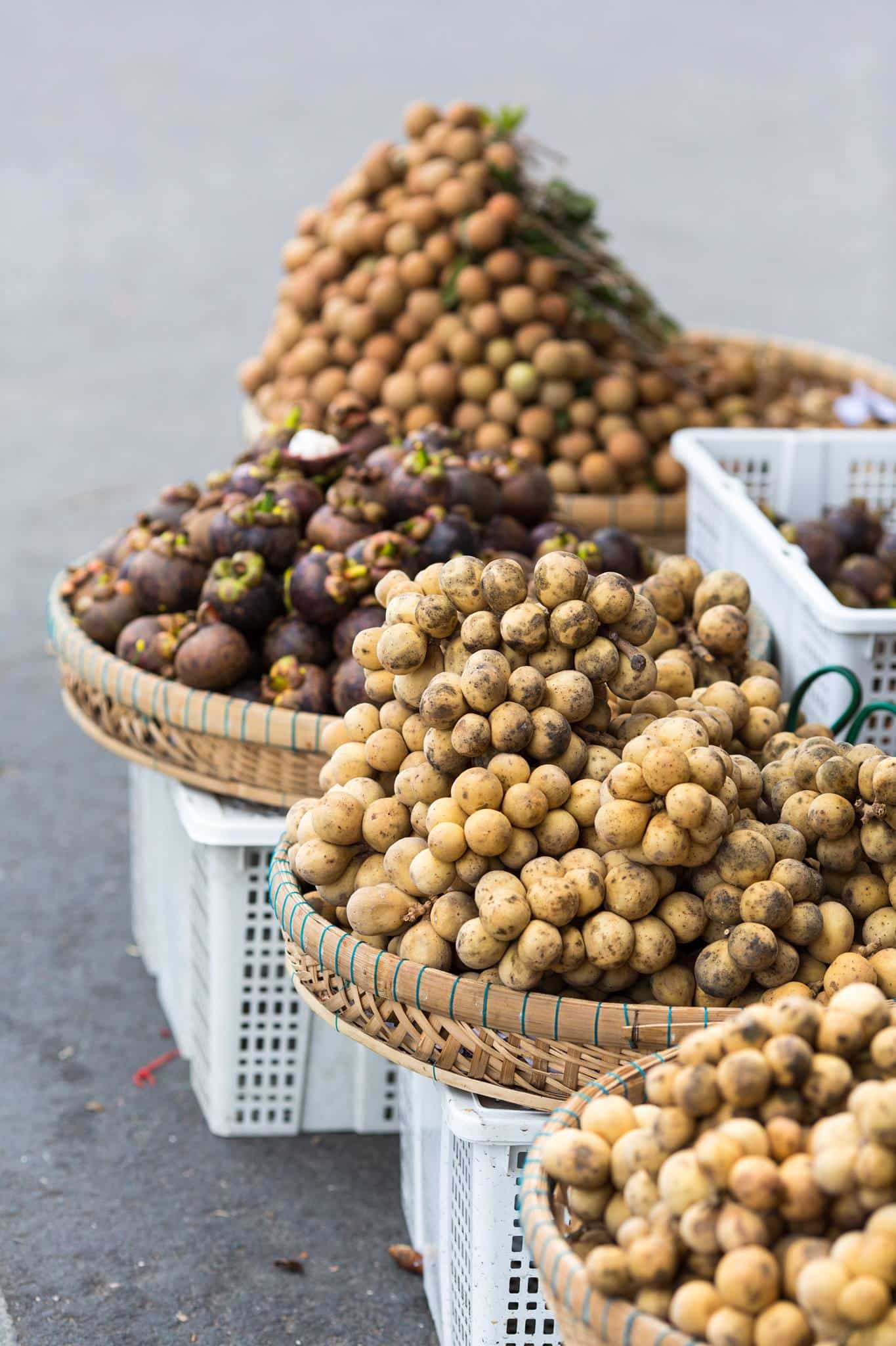 29060461_1843702032326861_3819314309059118150_o-1