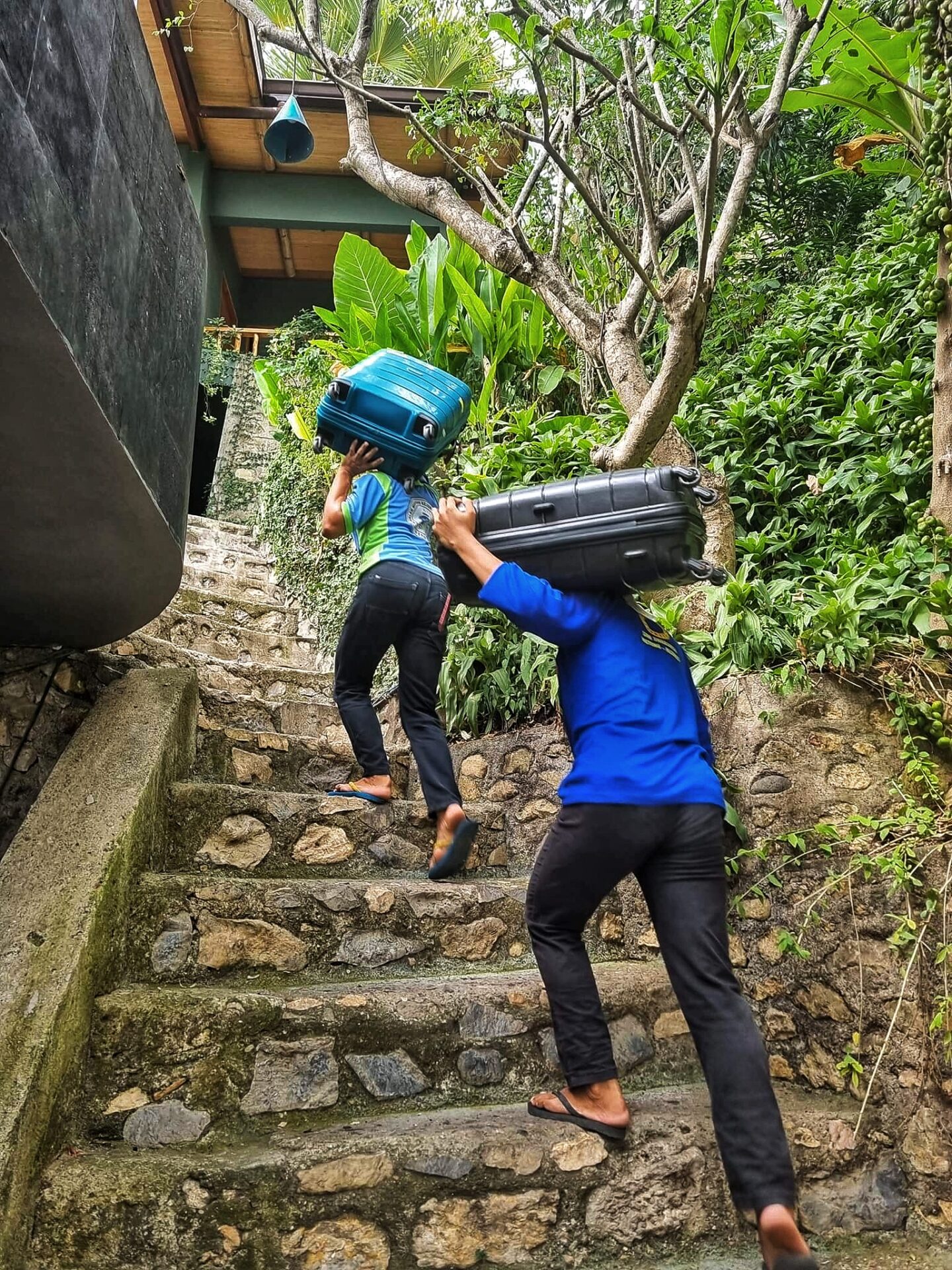 FB_IMG_1685738168463-01