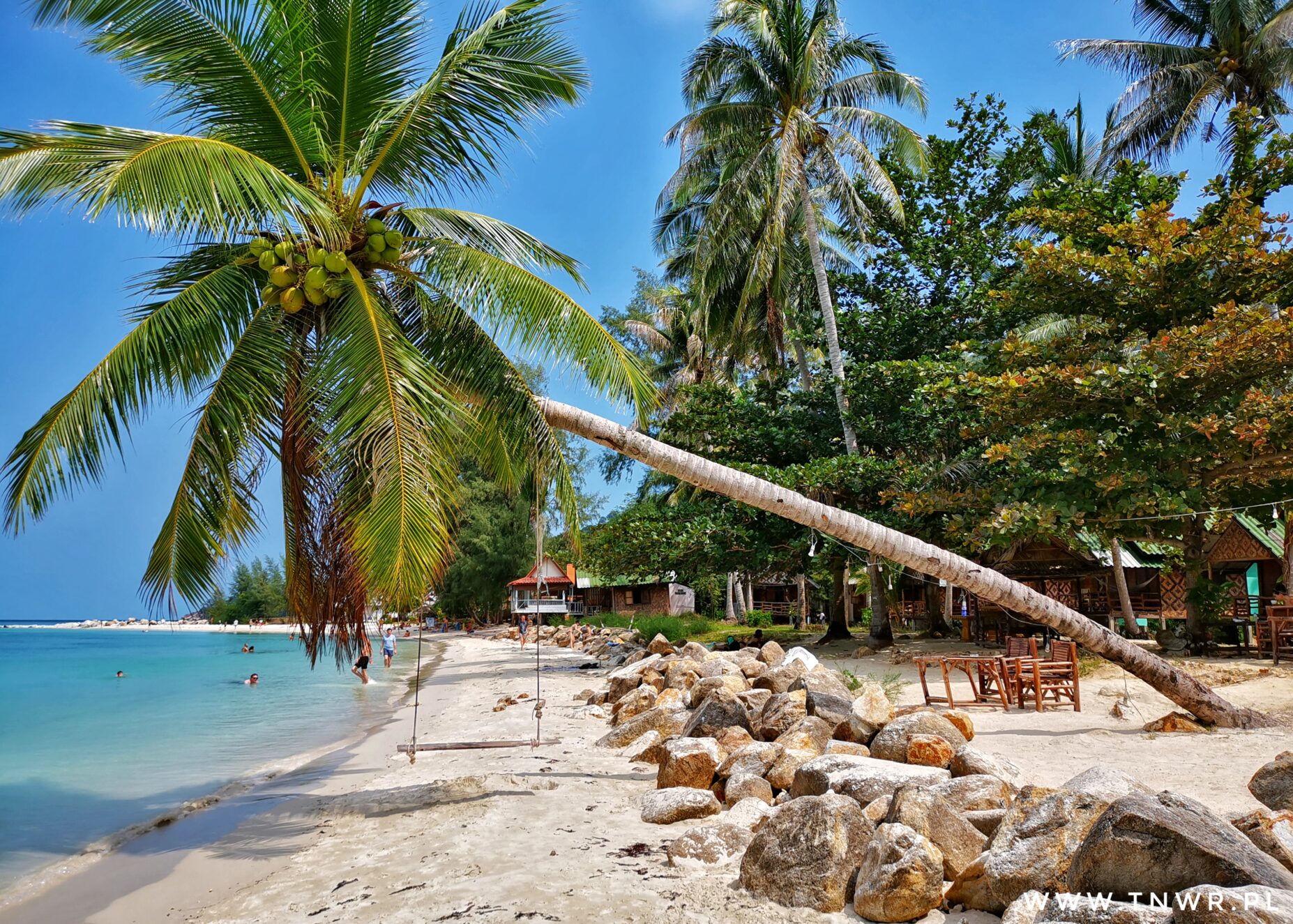 IMG_20200115_120414-01