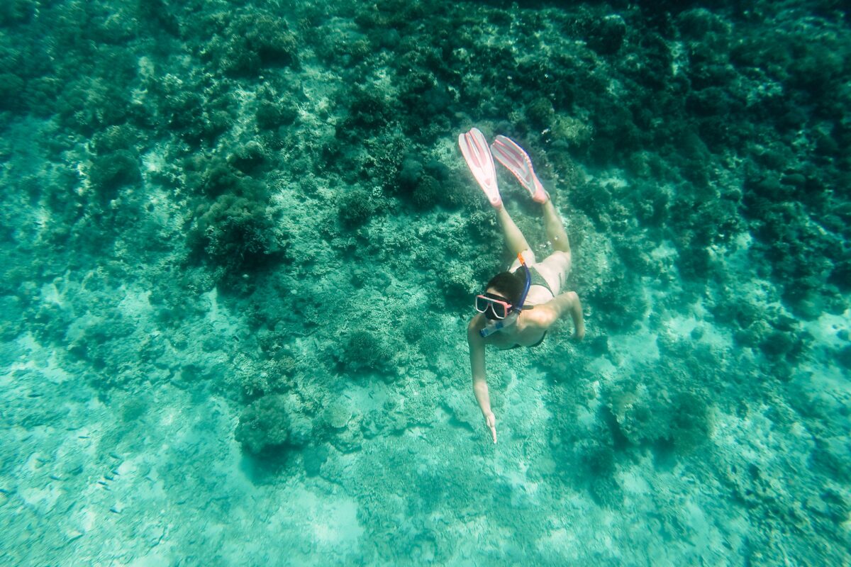 nurkowanie na Cebu