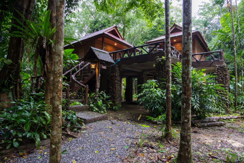 domek z widokiem na las Khao Sok