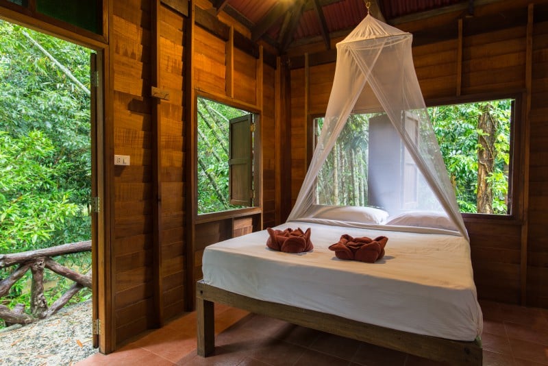 domek z widokiem na las Khao Sok
