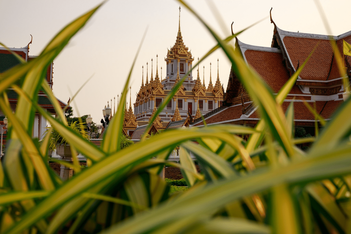 Bangkok złote miasto premium