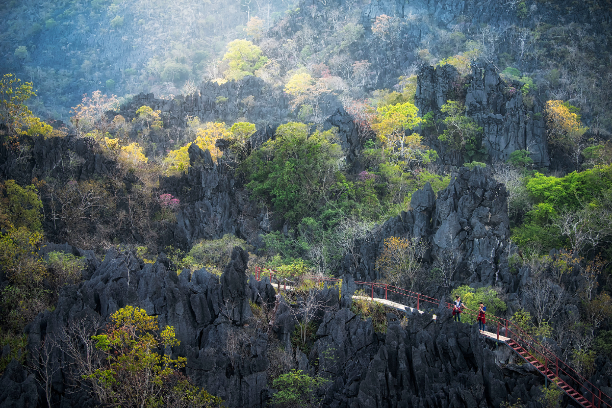 Nam Et-Phou Louey National Park Laos