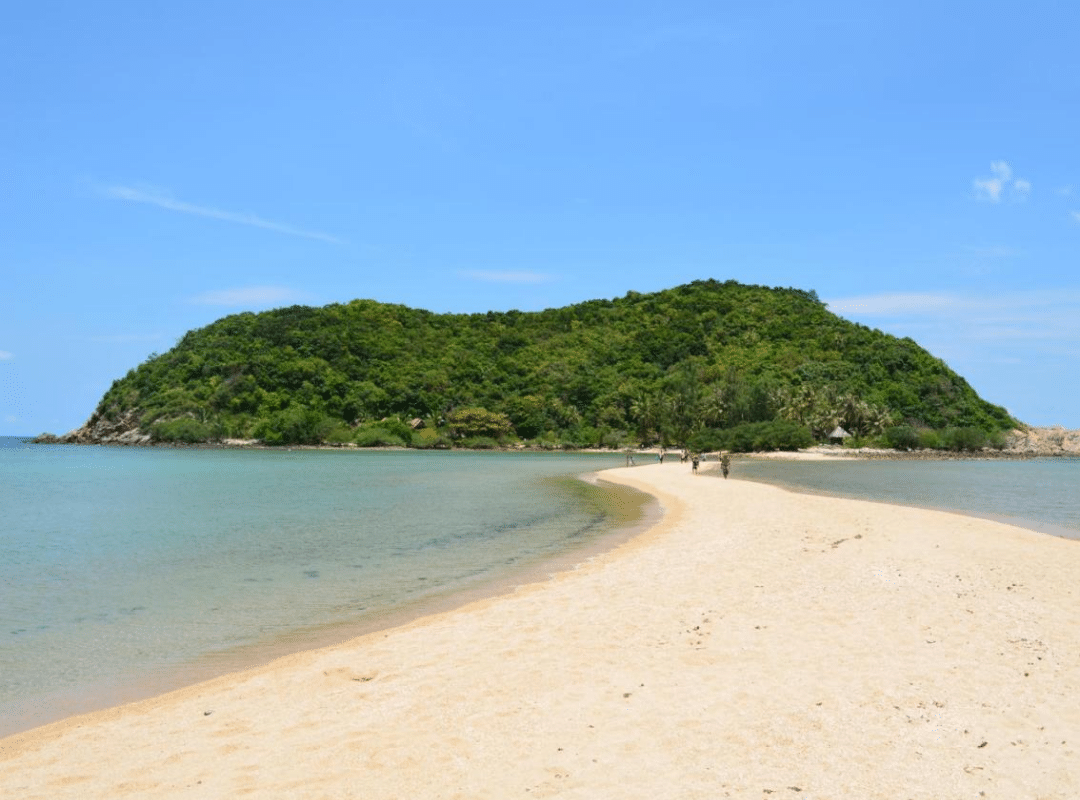 Phangan Standard 2 (12)