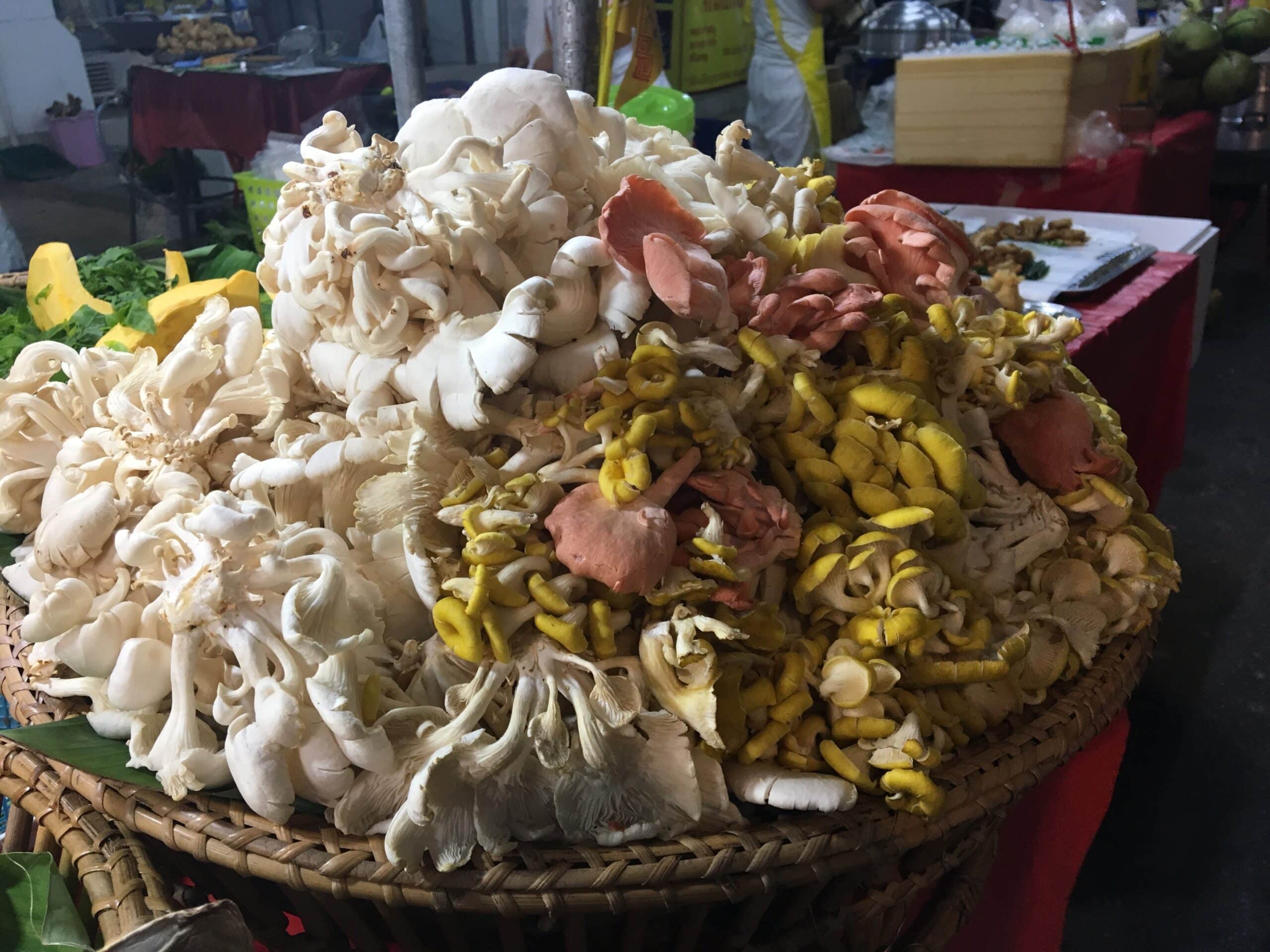 JEDZENIE WEGETARIAŃSKIE TAJLANDIA