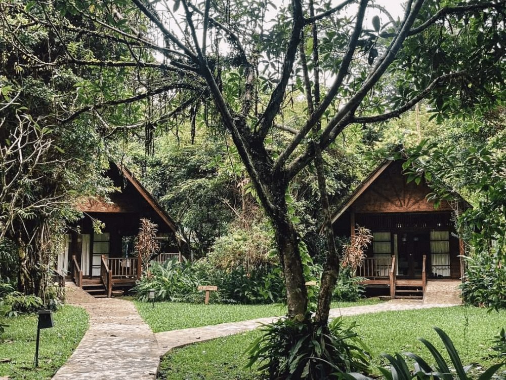 Siem Reap standard 1