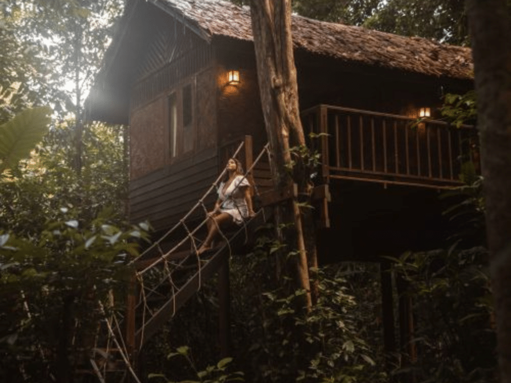 Siem Reap standard 1