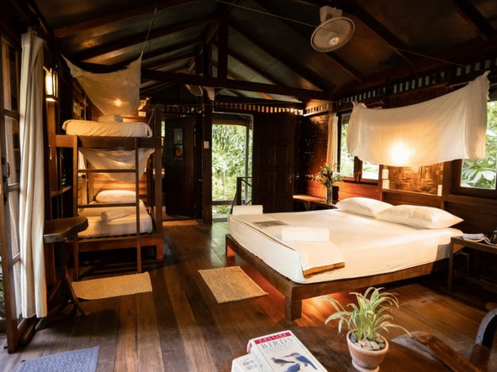 Siem Reap standard 2