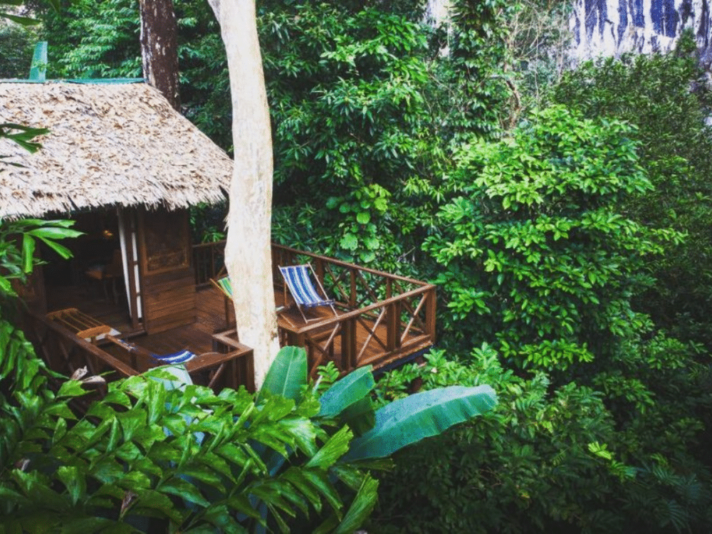 Siem Reap standard 2