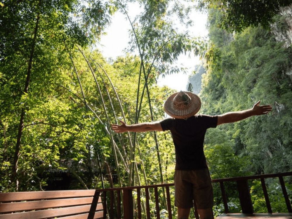 Siem Reap standard 2