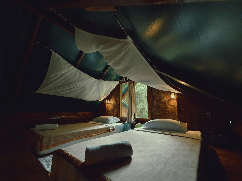 Siem Reap standard 2