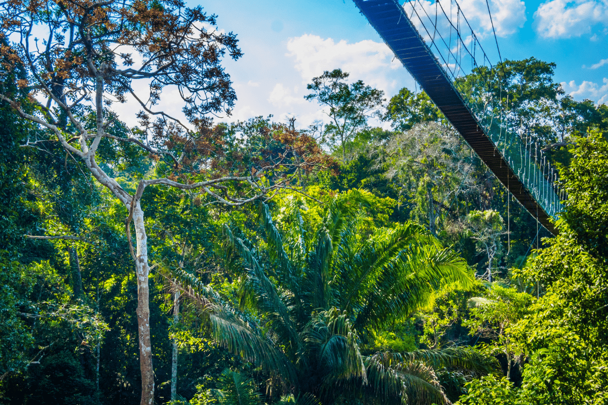 puerto maldonaldo peru
