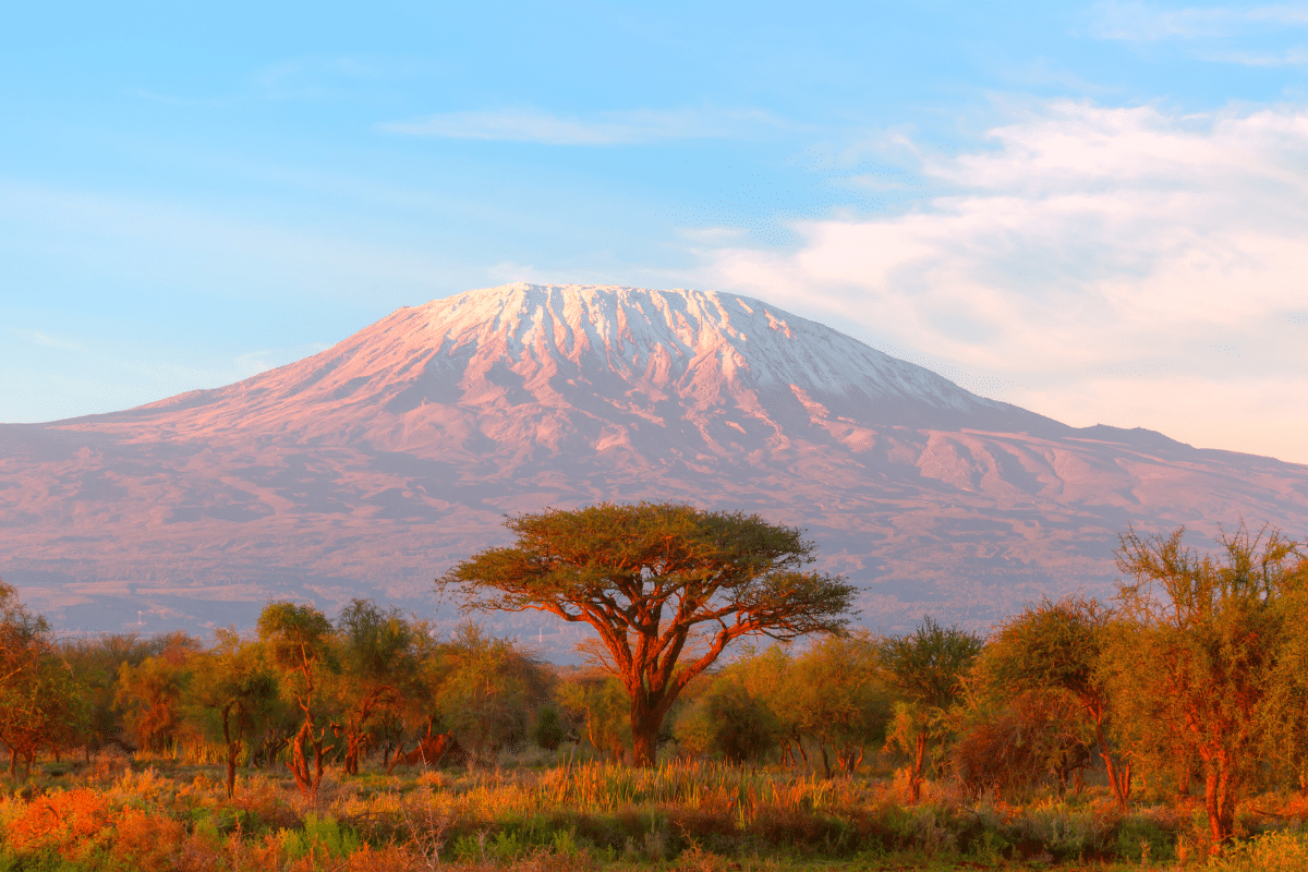 Kilimandżaro